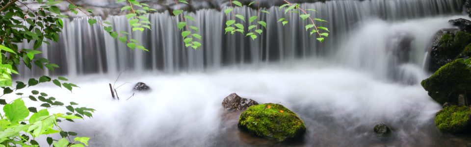 あの日本を甦らせよう 京都からの発信
